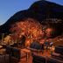อื่น ๆ