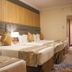 อื่น ๆ