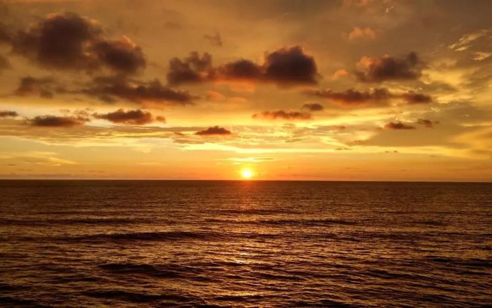 อื่น ๆ รูปภาพ