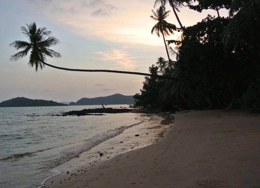 ชายหาด รูปภาพ