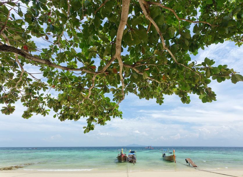 ชายหาด รูปภาพ