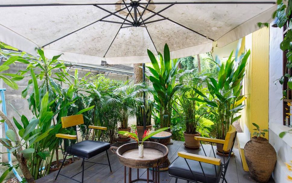 ลาน รูปภาพ