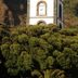 วิวภายนอก