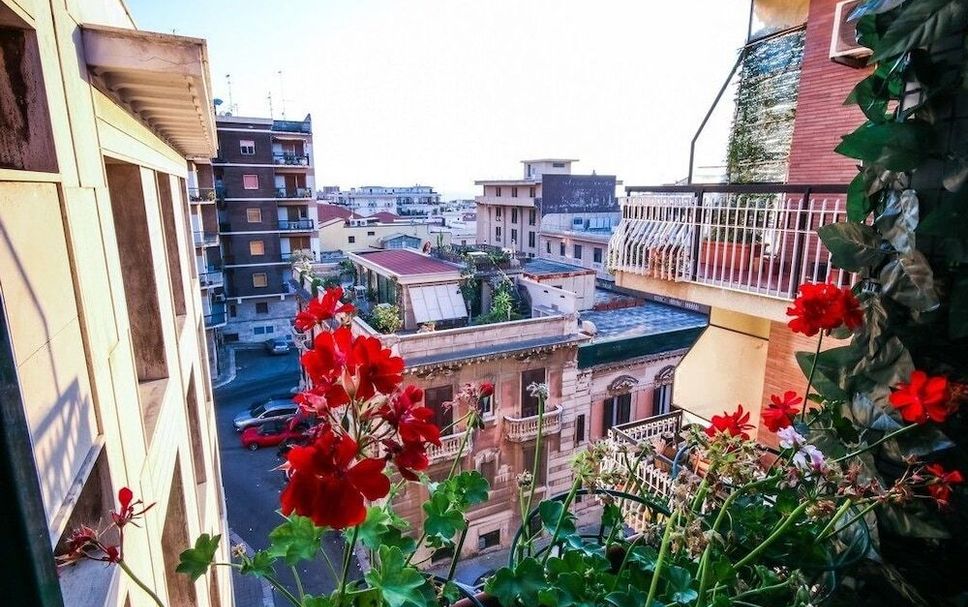 อื่น ๆ รูปภาพ