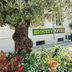 วิวภายนอก