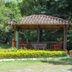 ลาน