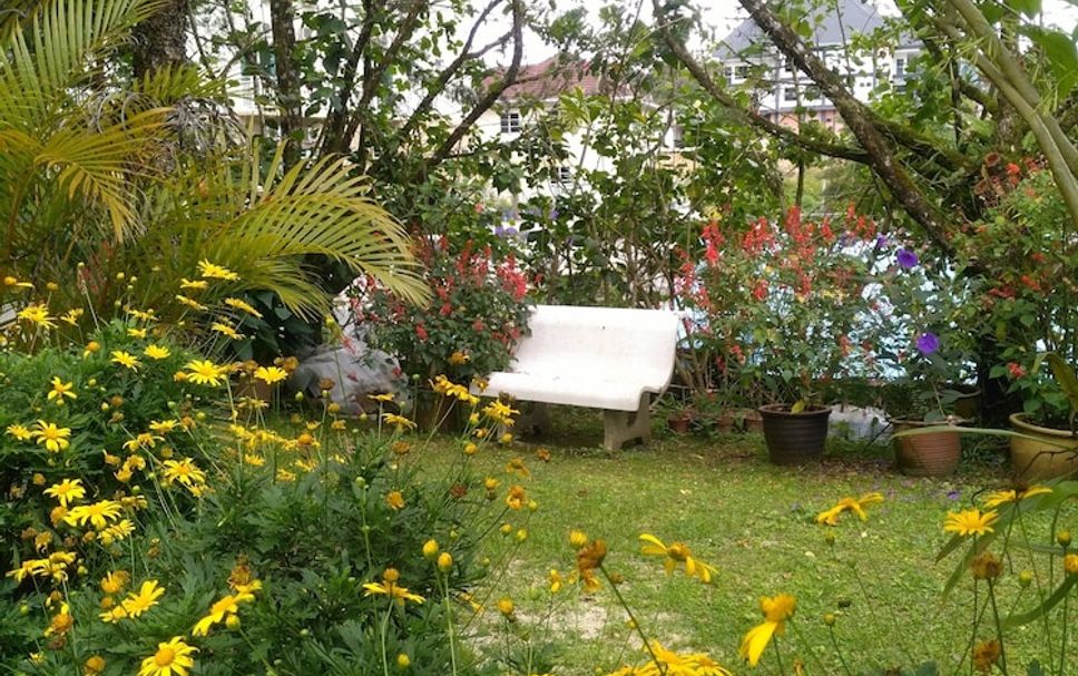 วิวภายนอก รูปภาพ