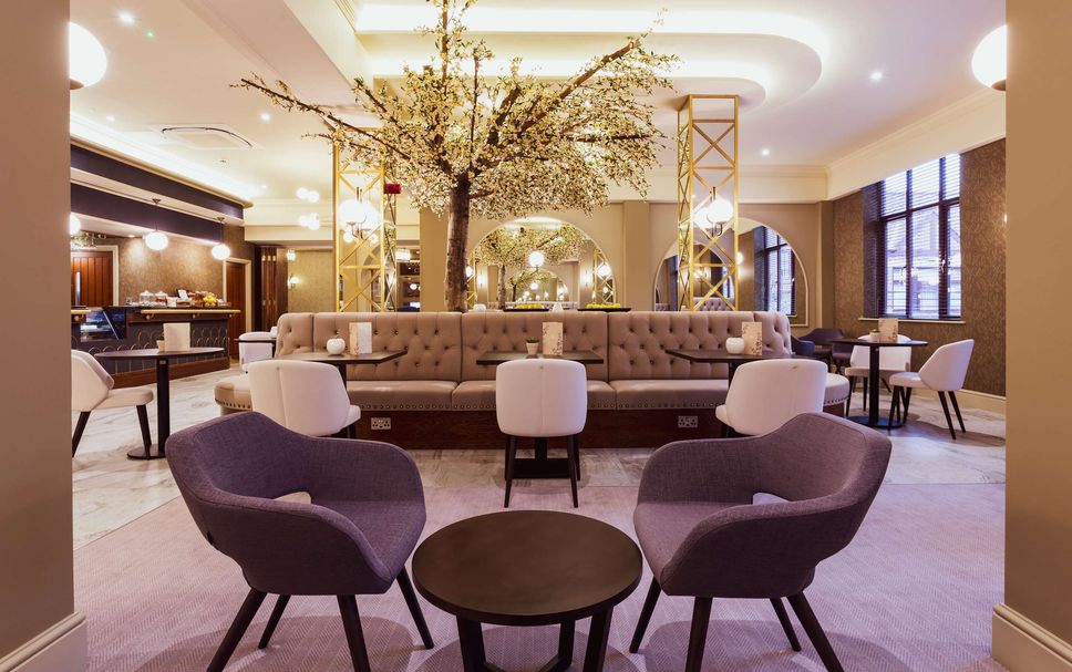 บาร์ รูปภาพ