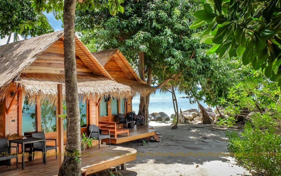 ลาน รูปภาพ