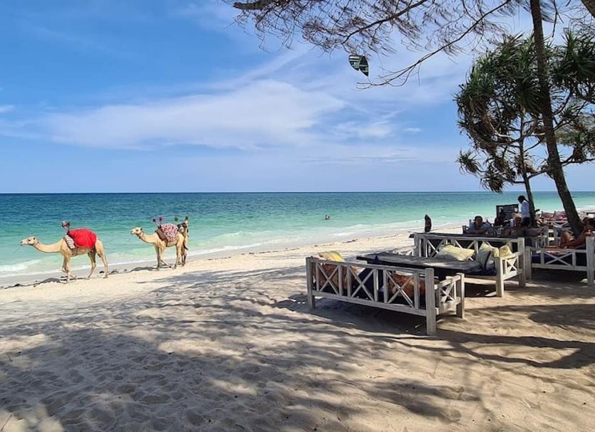 ชายหาด รูปภาพ