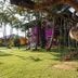 อื่น ๆ