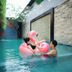 อื่น ๆ