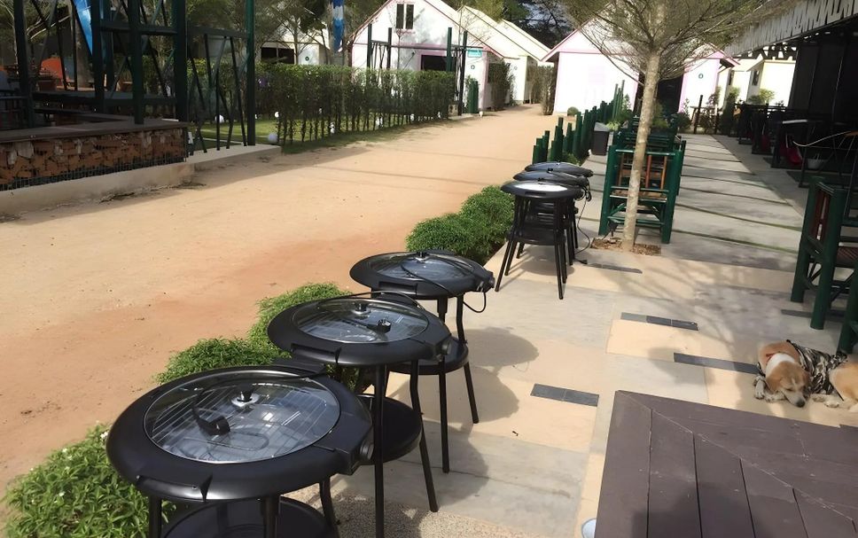 ลาน รูปภาพ