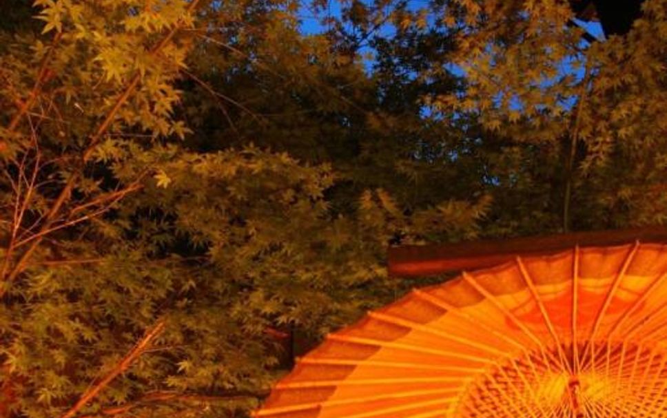 อื่น ๆ รูปภาพ