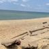 ชายหาด