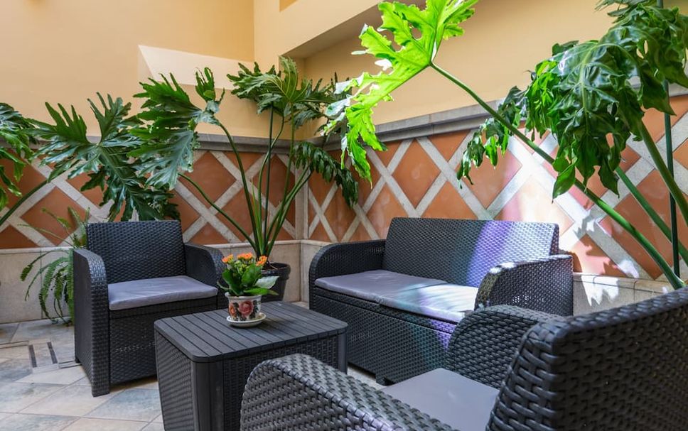 ลาน รูปภาพ