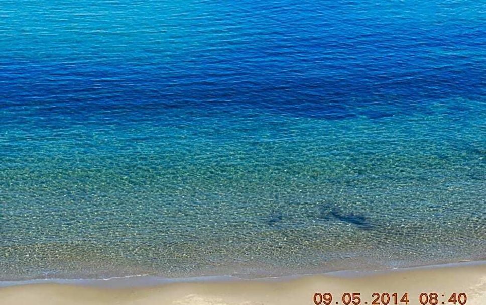 ชายหาด รูปภาพ