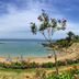 ชายหาด