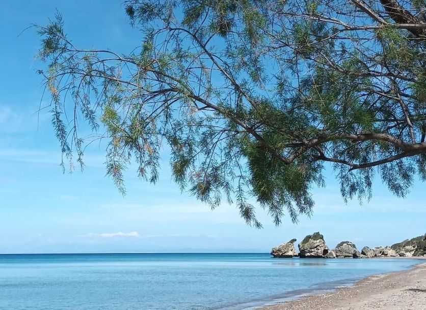 ชายหาด รูปภาพ