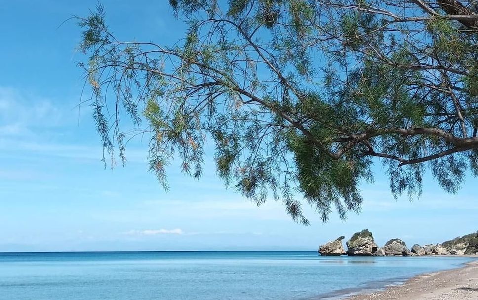 ชายหาด รูปภาพ