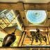 อื่น ๆ
