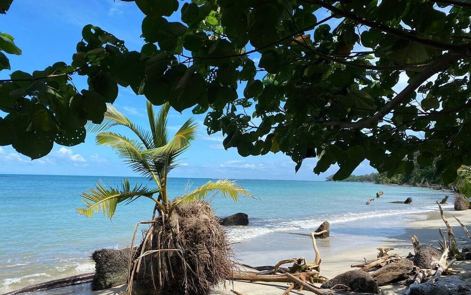 ชายหาด รูปภาพ