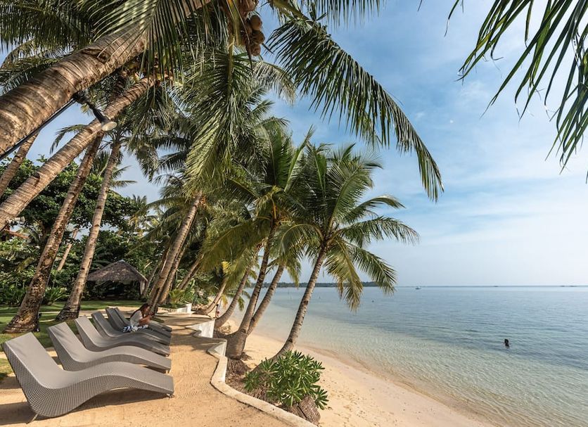 ชายหาด รูปภาพ