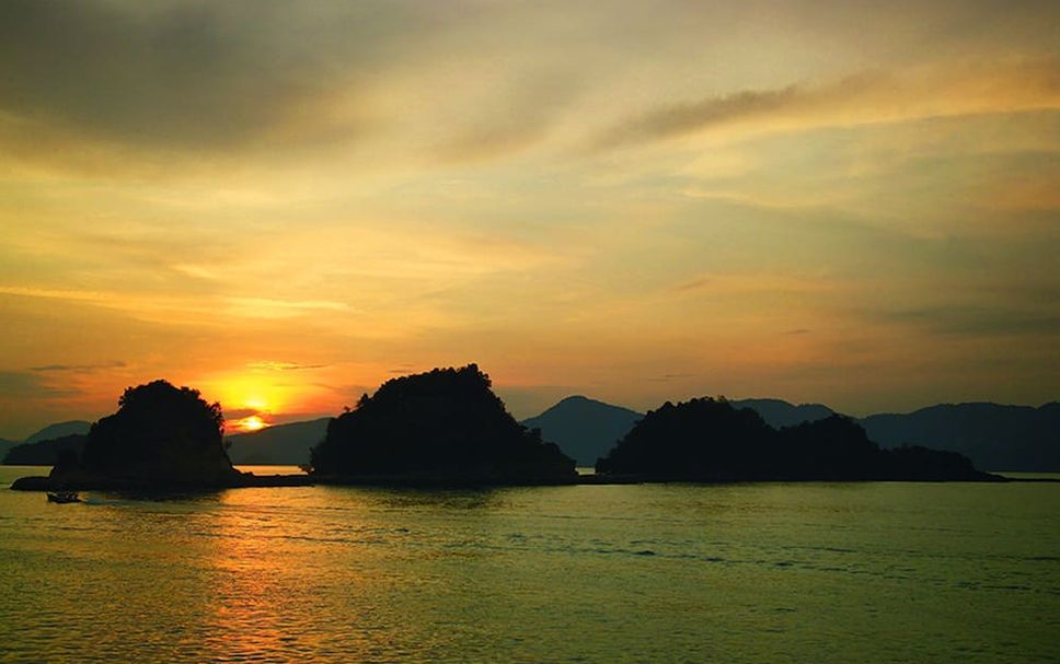 อื่น ๆ รูปภาพ
