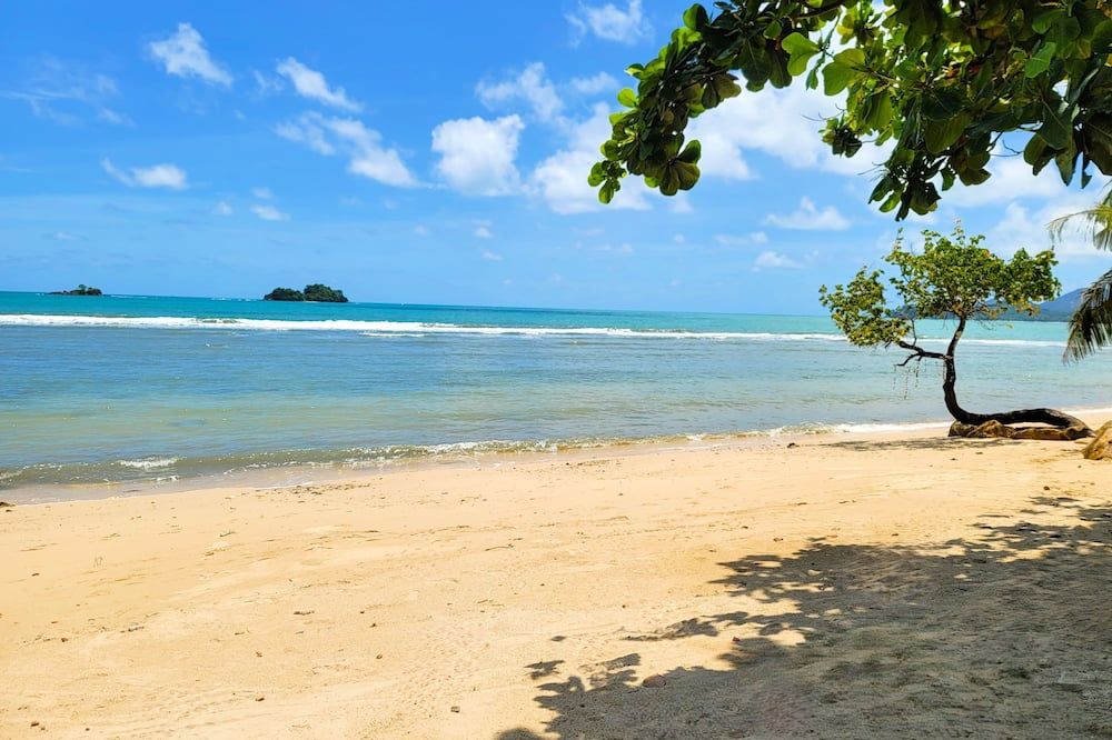 ชายหาด