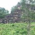 วิวภายนอก