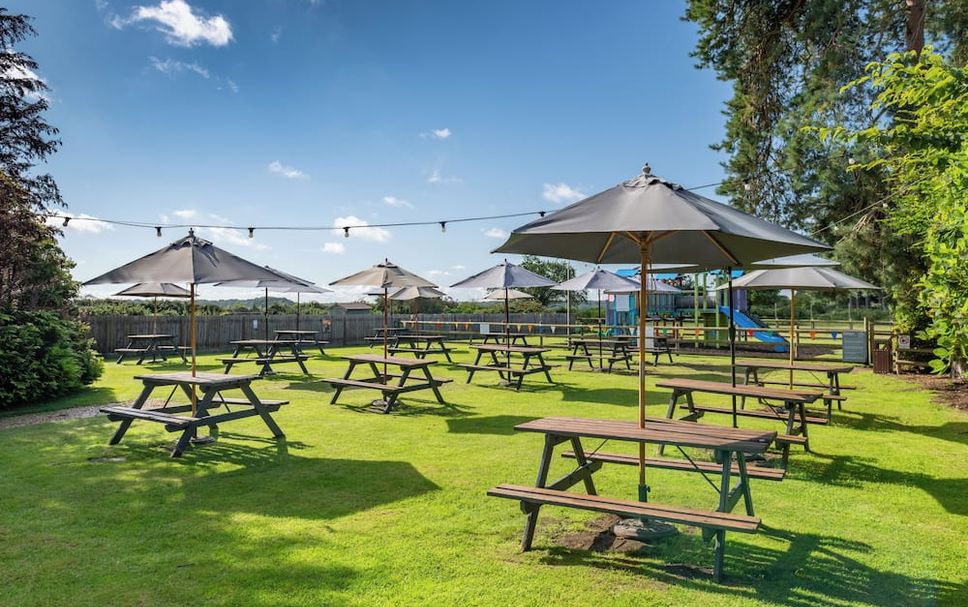 ลาน รูปภาพ