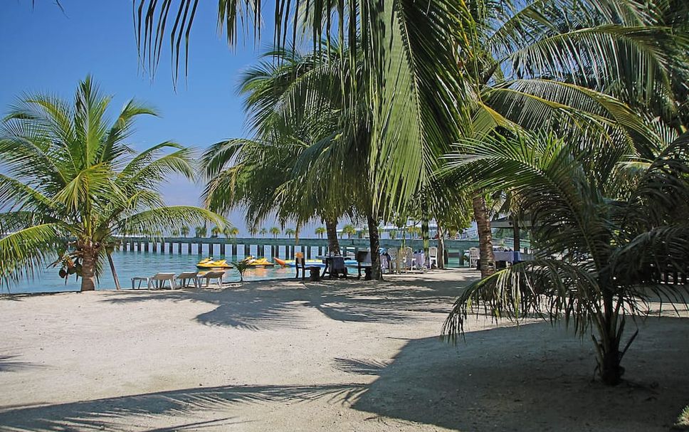 ชายหาด รูปภาพ