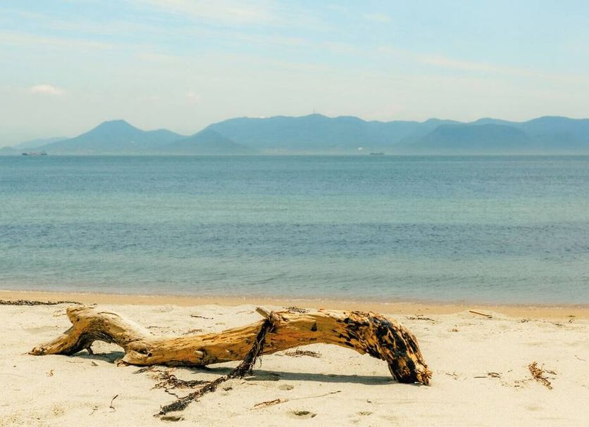 ชายหาด รูปภาพ