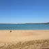ชายหาด