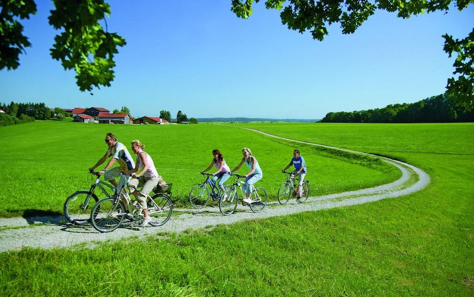 อื่น ๆ รูปภาพ