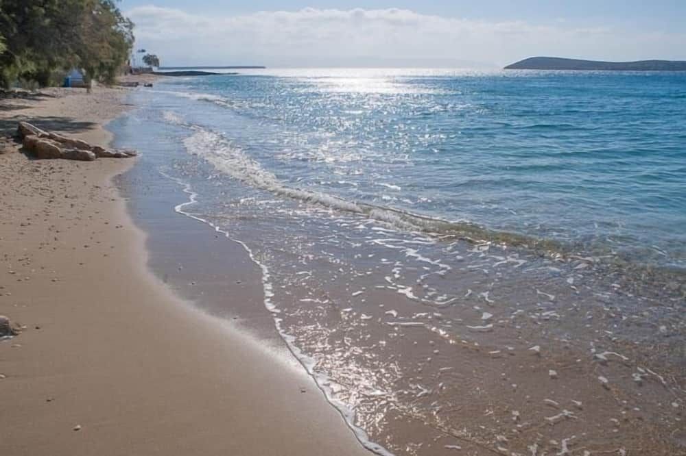 ชายหาด