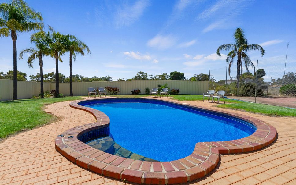 สระว่ายน้ำ รูปภาพ