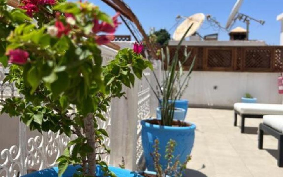 อื่น ๆ รูปภาพ