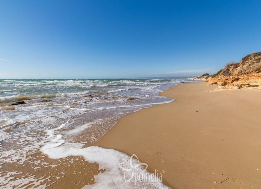 ชายหาด รูปภาพ