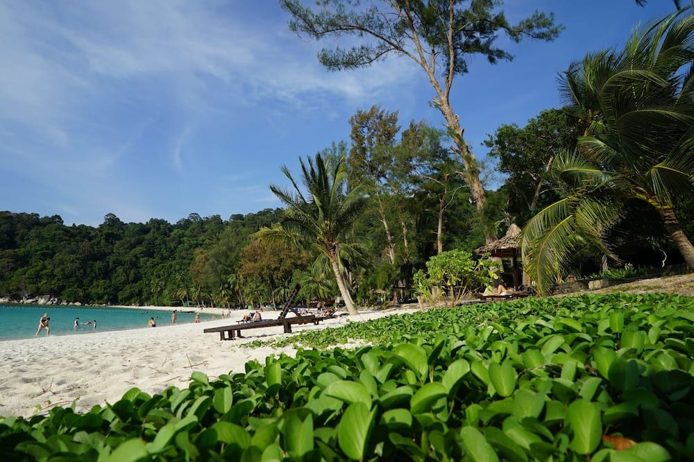 ชายหาด