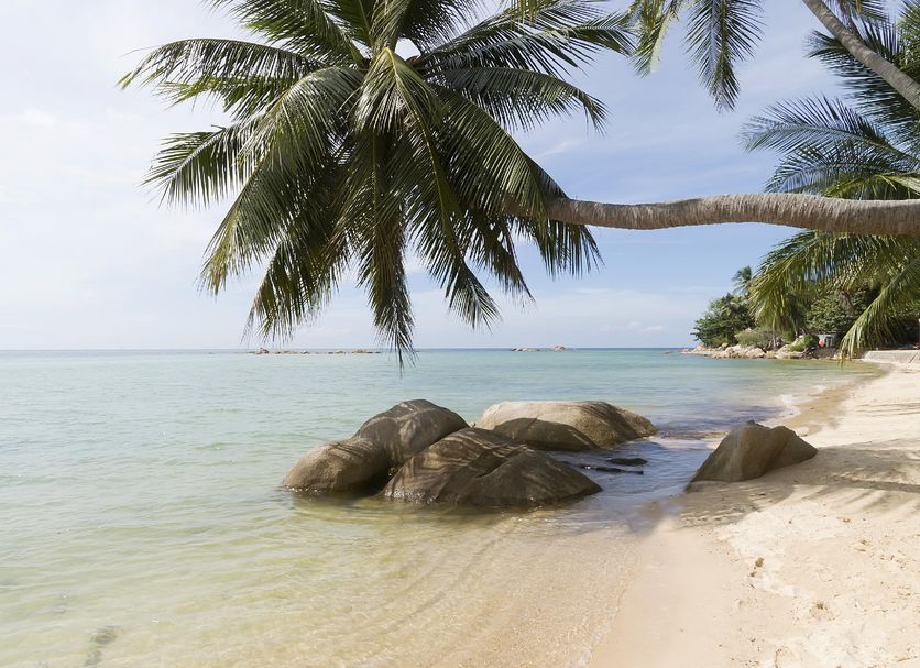ชายหาด รูปภาพ