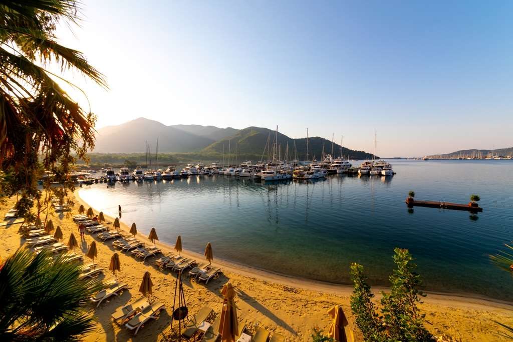 ชายหาด