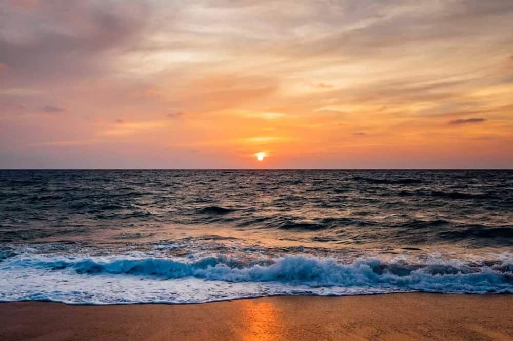 ชายหาด รูปภาพ