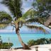 อื่น ๆ
