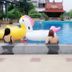 อื่น ๆ