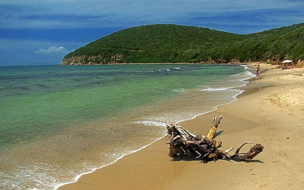 ชายหาด รูปภาพ