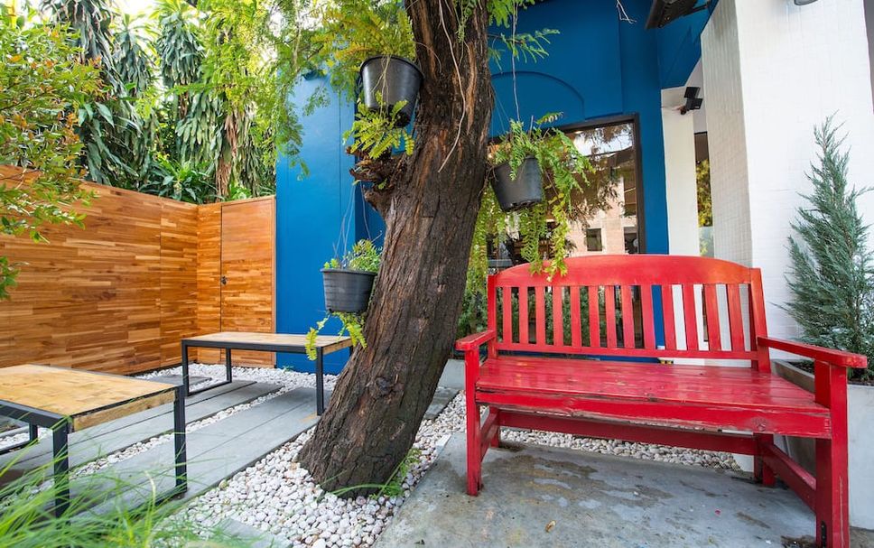 ลาน รูปภาพ