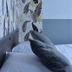 อื่น ๆ