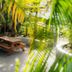 อื่น ๆ