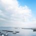 อื่น ๆ